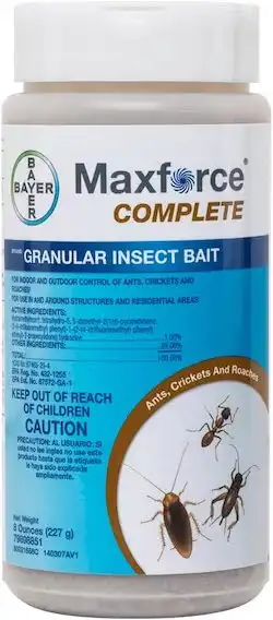 Top Best Ant Killers Of Tested And Reviewed Pest Dude