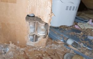 How to Get Rid of Rats in the Attic: 7 Effective Steps Pest Dude