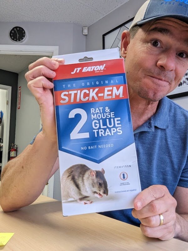 JT Eaton Stick-Em Rat Traps