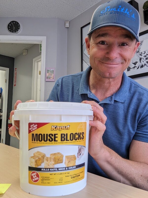 Kaput Mouse Blocks