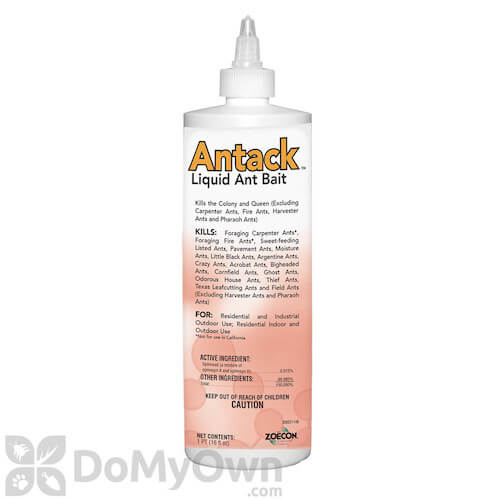Antack Liquid Ant Bait