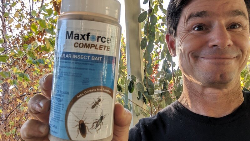 MaxForce Granular Insect Bait