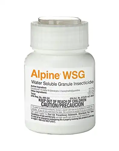 Alpine WSG
