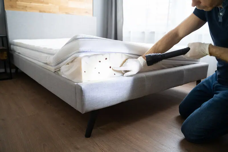inspect for bug activity