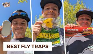 best fly traps
