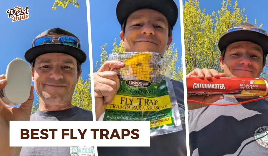 Top 5 Best Fly Traps of 2025 Tested and Reviewed The Pest Dude