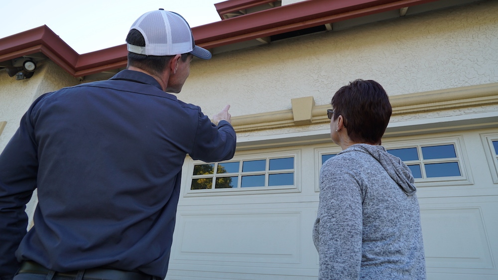 carpenter bees control