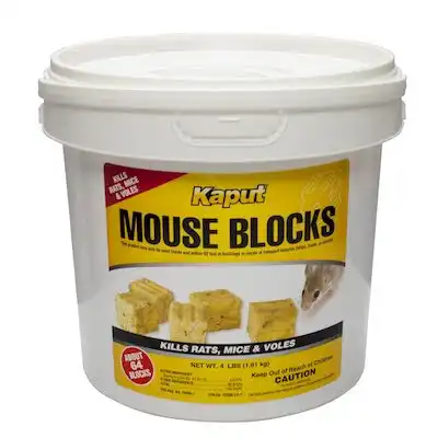 Kaput Mouse Blocks
